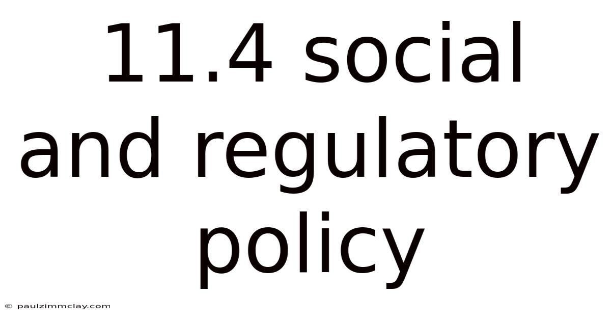 11.4 Social And Regulatory Policy