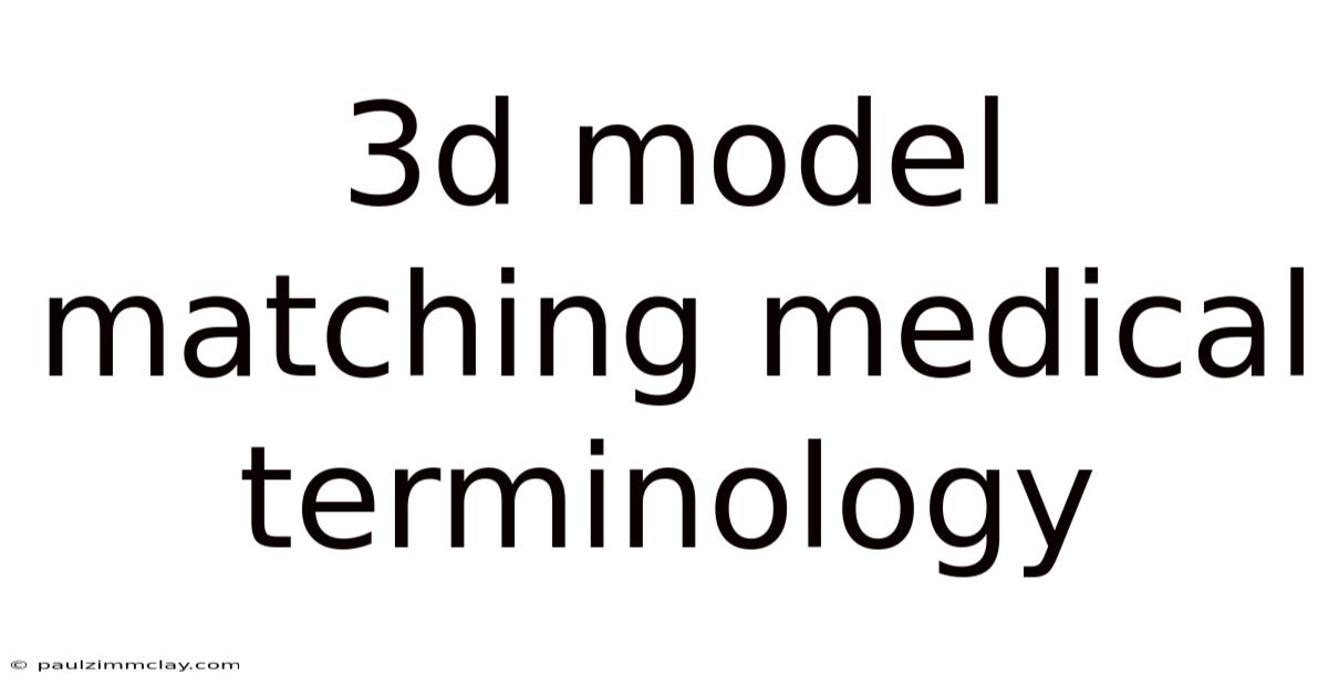 3d Model Matching Medical Terminology