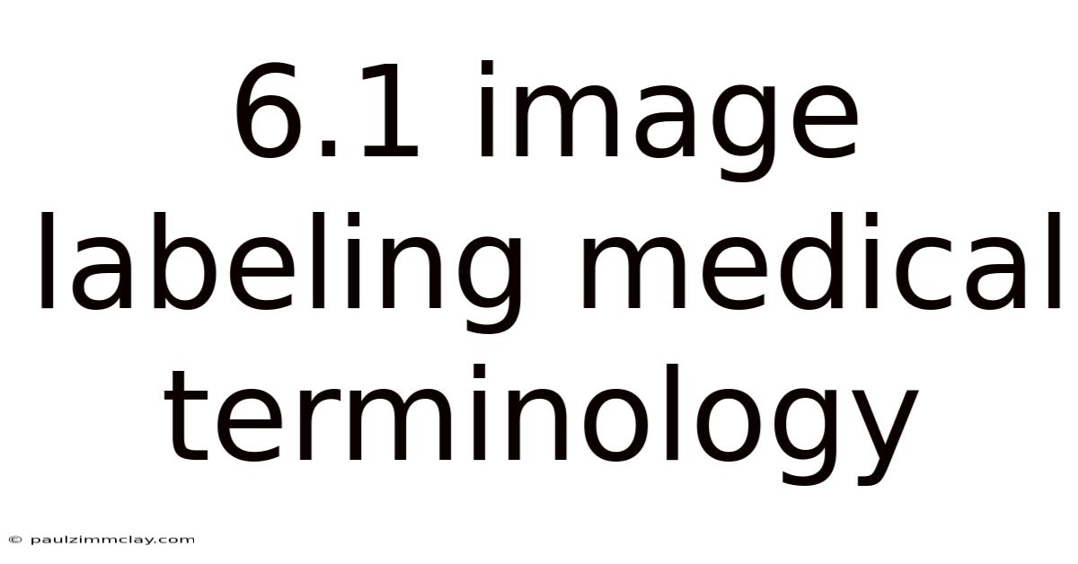 6.1 Image Labeling Medical Terminology
