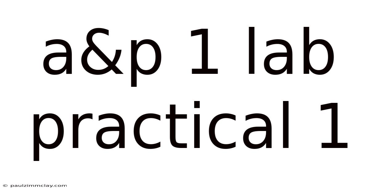 A&p 1 Lab Practical 1