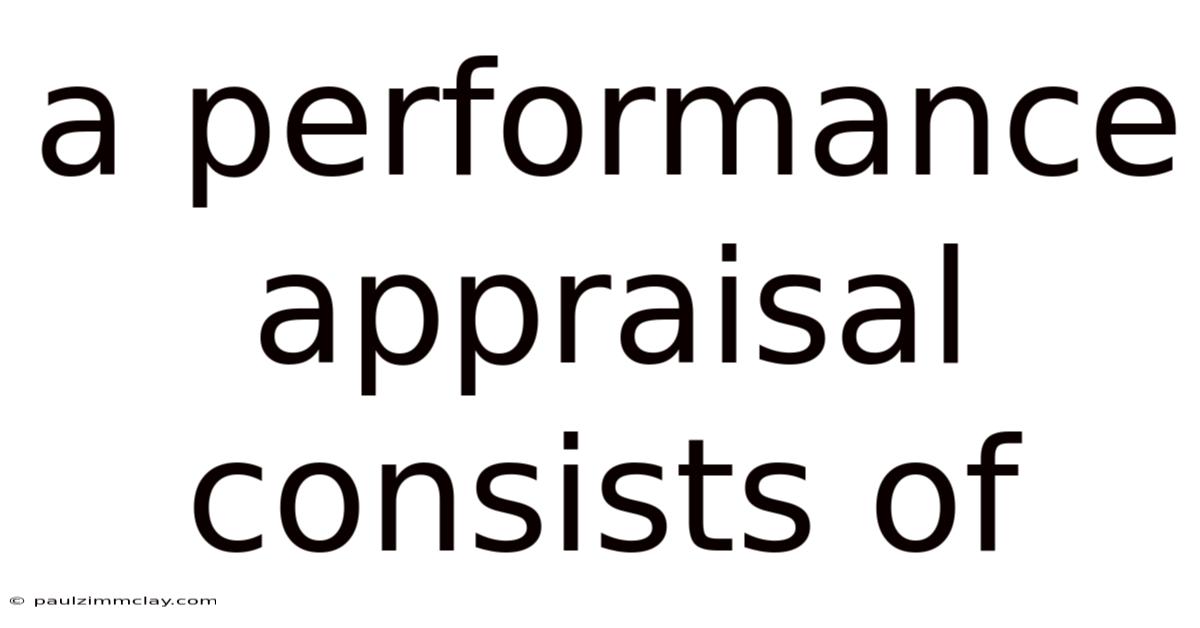 A Performance Appraisal Consists Of