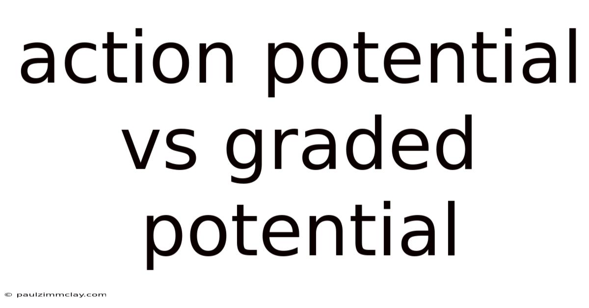 Action Potential Vs Graded Potential