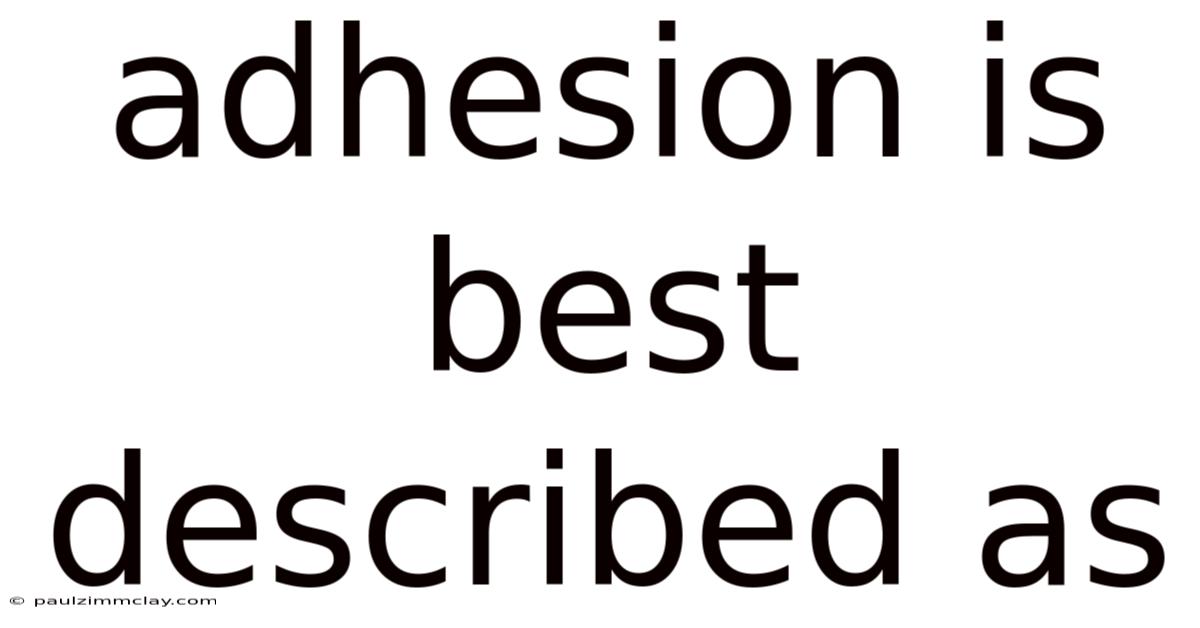 Adhesion Is Best Described As