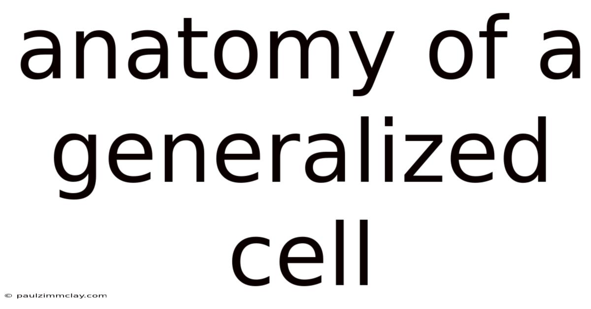 Anatomy Of A Generalized Cell