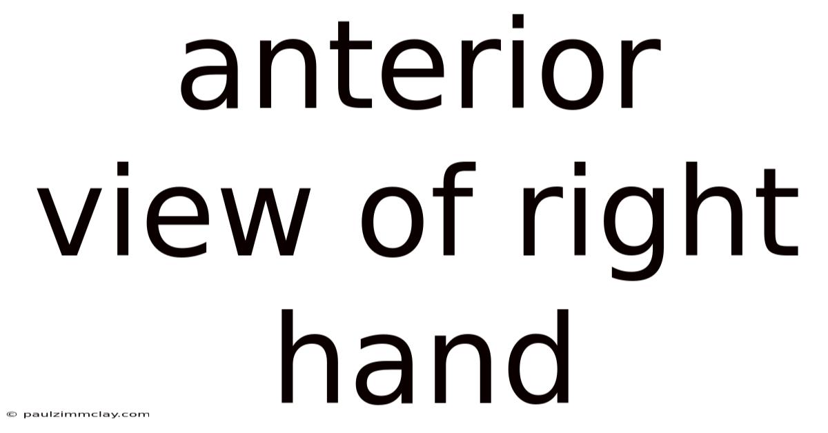 Anterior View Of Right Hand