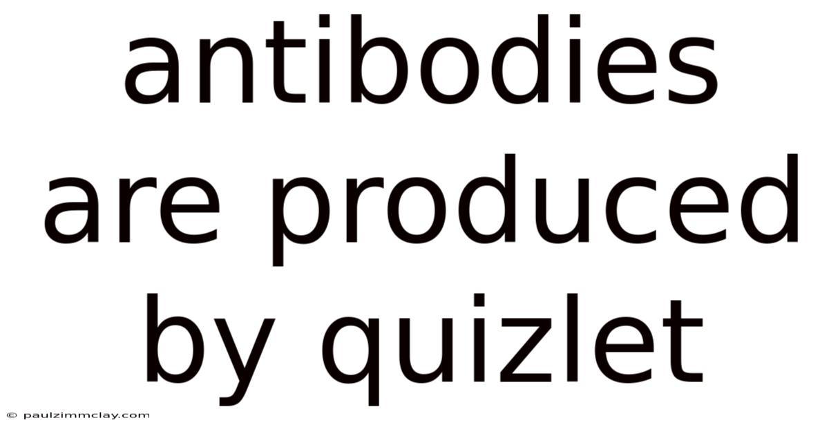 Antibodies Are Produced By Quizlet
