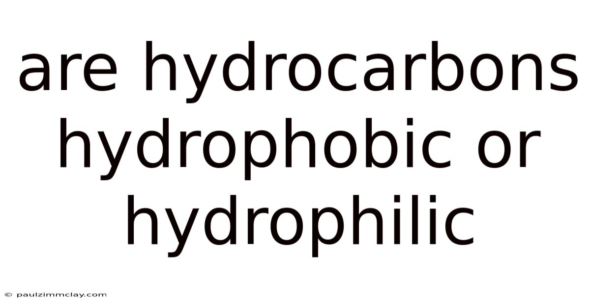 Are Hydrocarbons Hydrophobic Or Hydrophilic