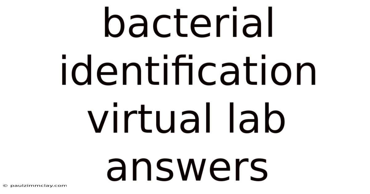 Bacterial Identification Virtual Lab Answers