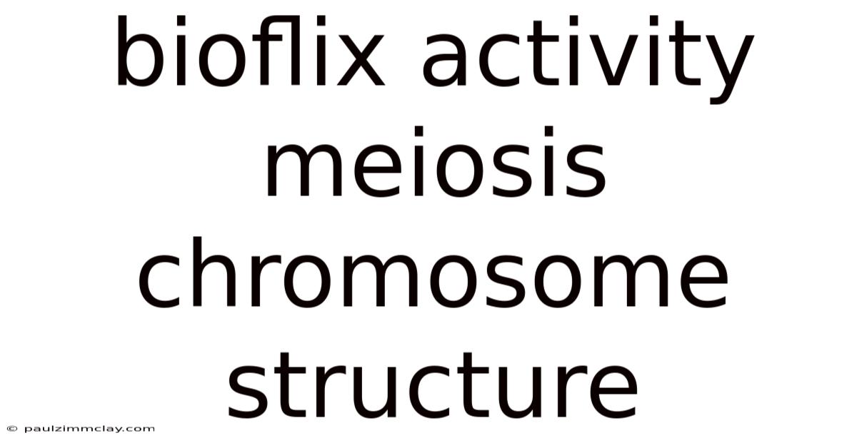 Bioflix Activity Meiosis Chromosome Structure