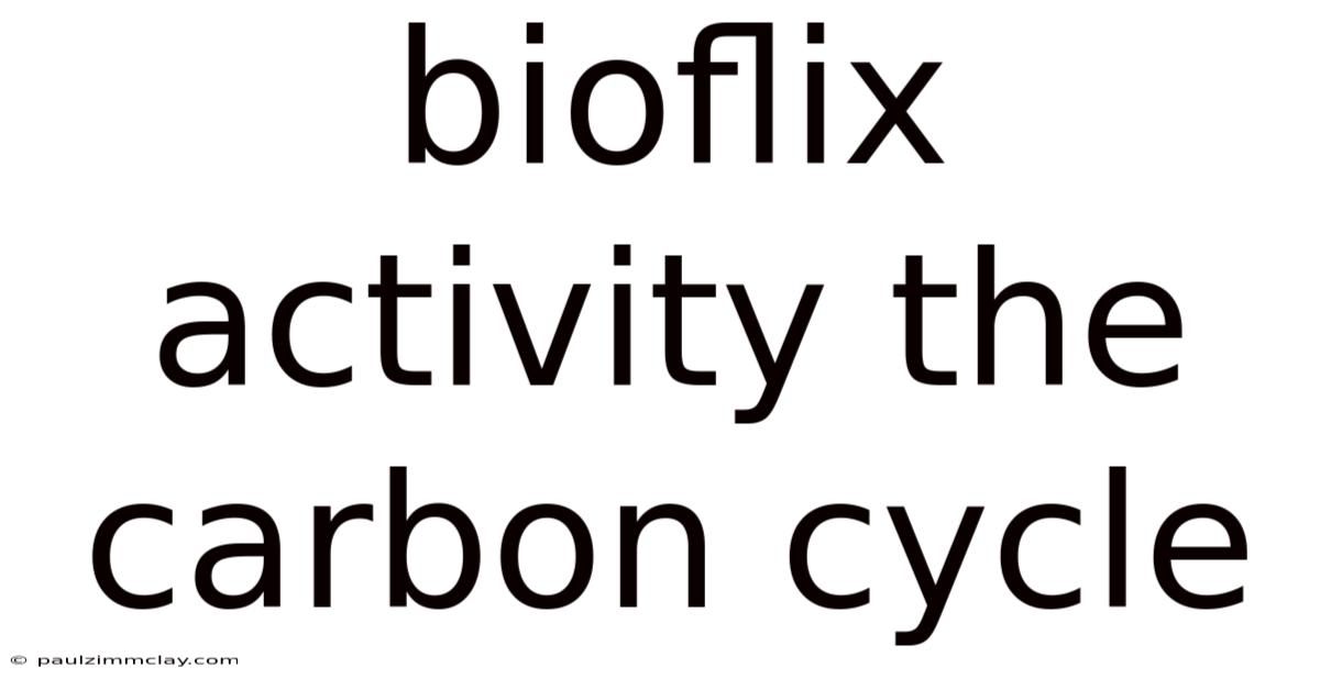 Bioflix Activity The Carbon Cycle