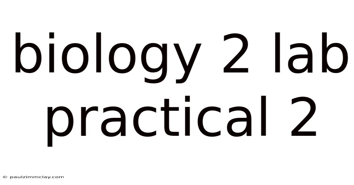 Biology 2 Lab Practical 2