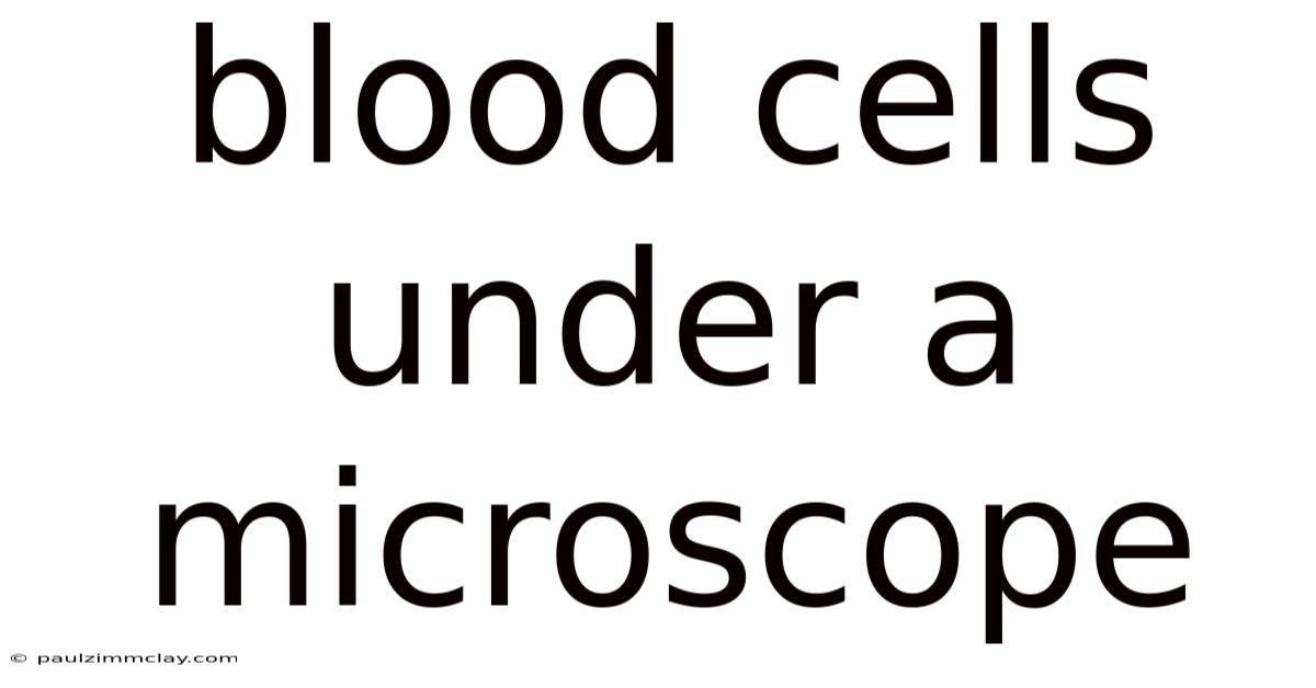 Blood Cells Under A Microscope