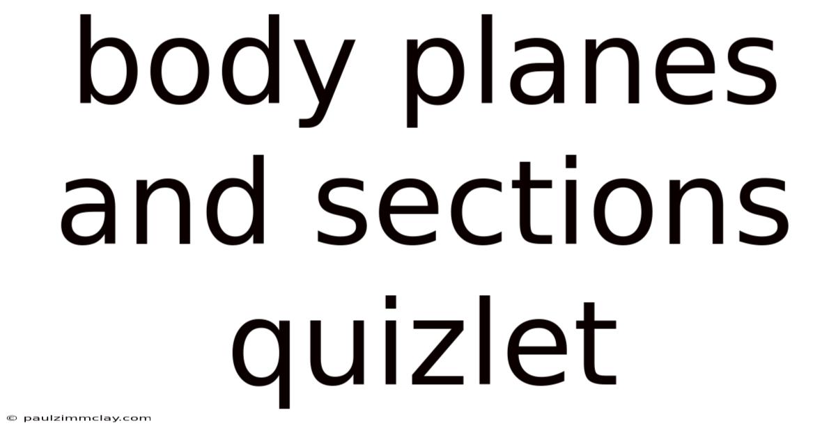 Body Planes And Sections Quizlet