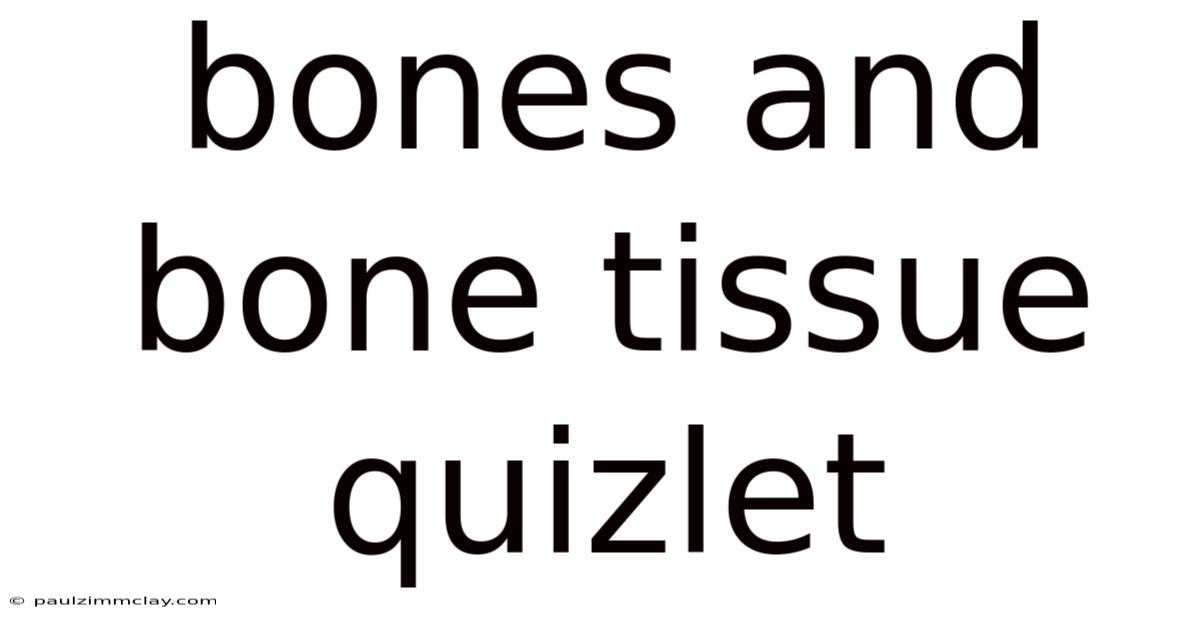 Bones And Bone Tissue Quizlet