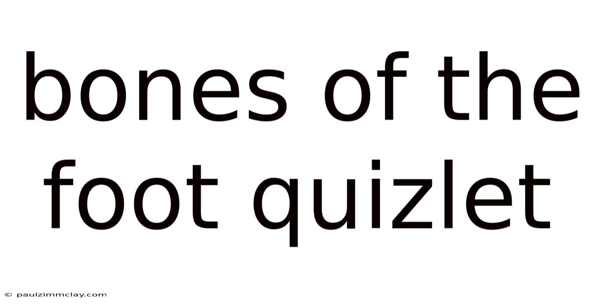 Bones Of The Foot Quizlet