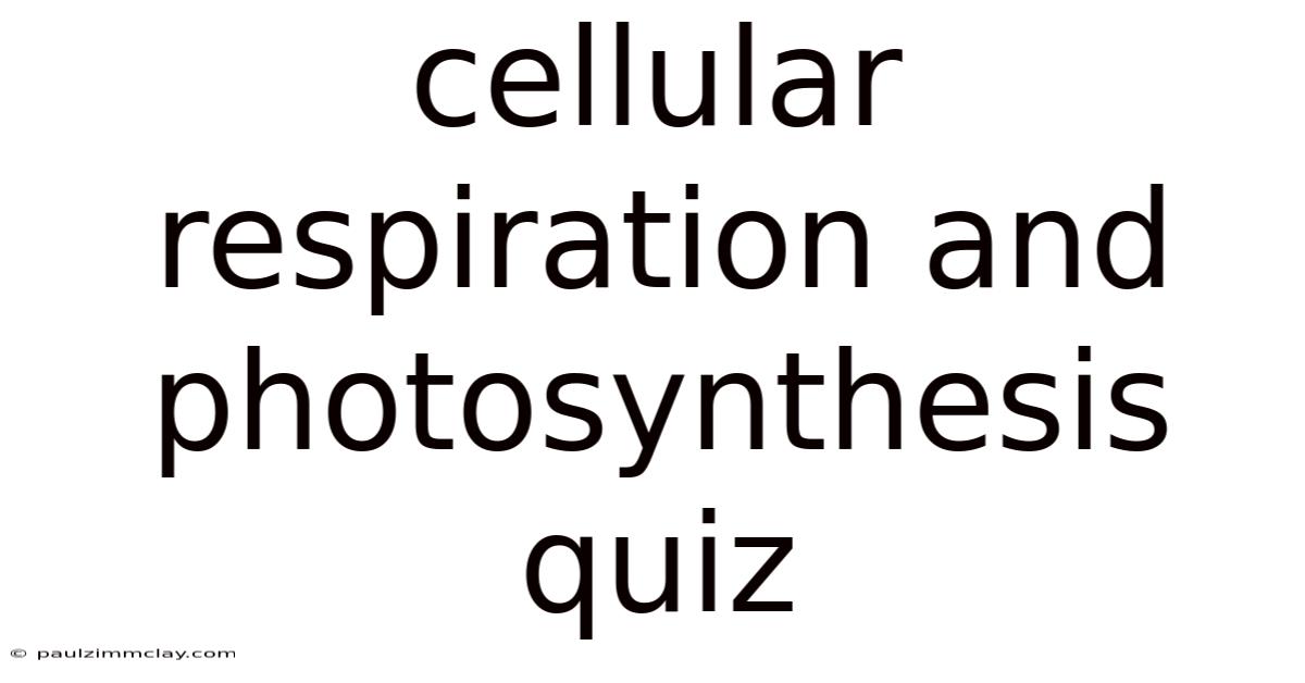 Cellular Respiration And Photosynthesis Quiz
