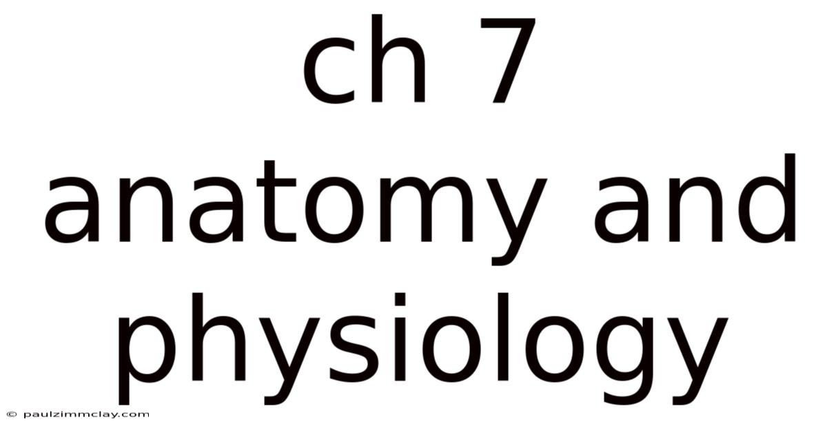 Ch 7 Anatomy And Physiology