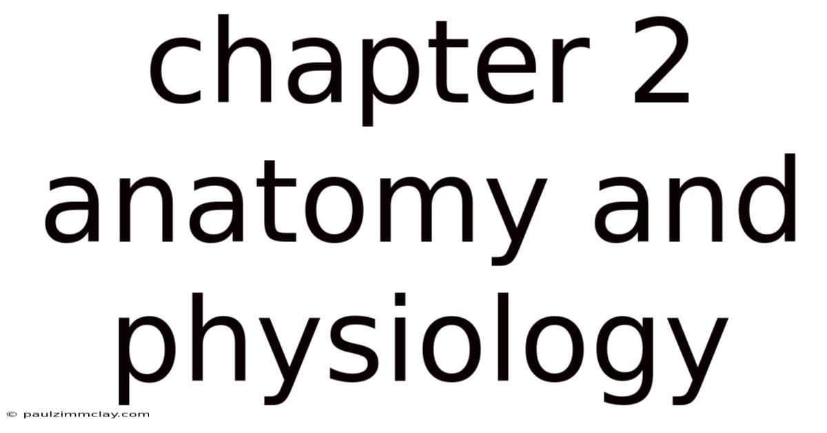 Chapter 2 Anatomy And Physiology