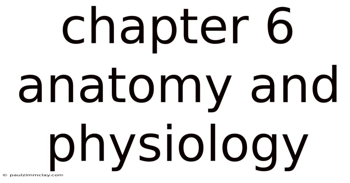 Chapter 6 Anatomy And Physiology