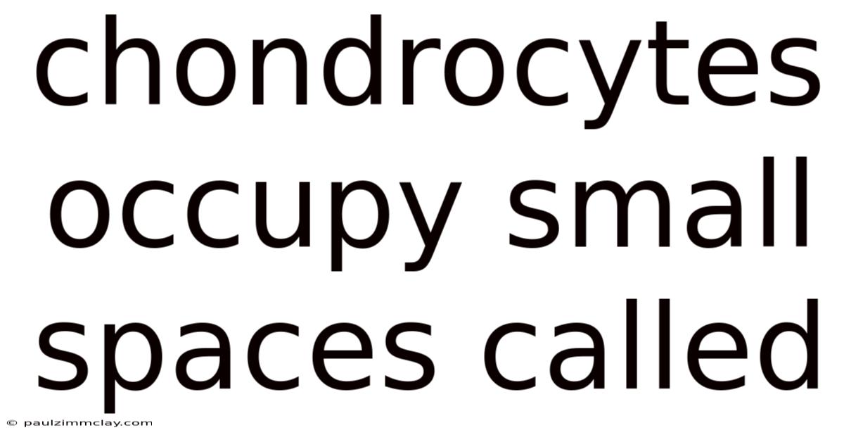 Chondrocytes Occupy Small Spaces Called