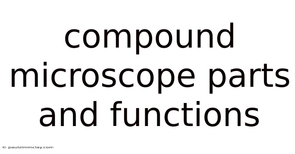 Compound Microscope Parts And Functions