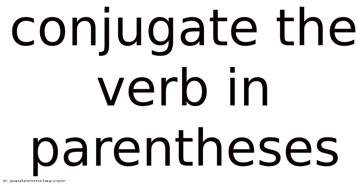 Conjugate The Verb In Parentheses