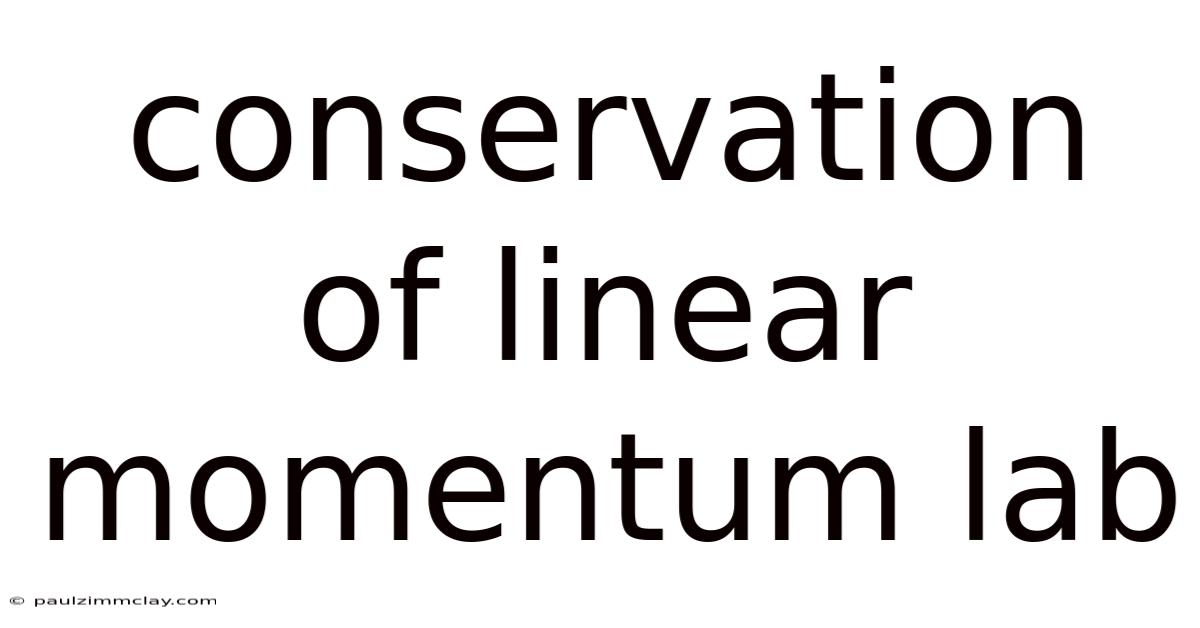 Conservation Of Linear Momentum Lab