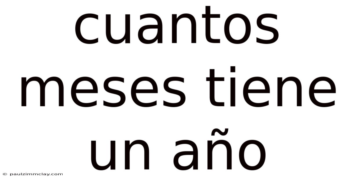 Cuantos Meses Tiene Un Año