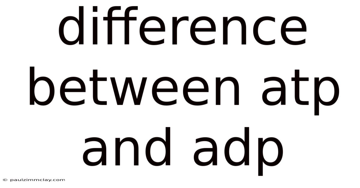 Difference Between Atp And Adp