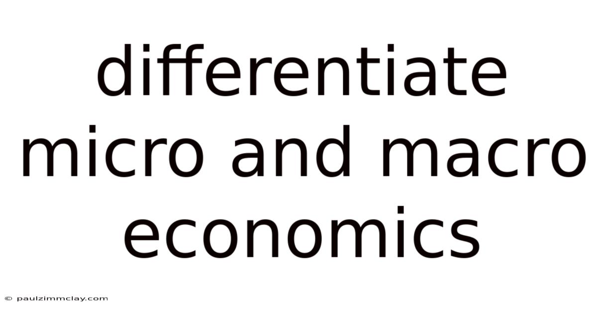 Differentiate Micro And Macro Economics
