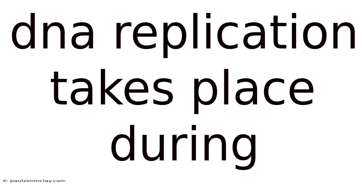 Dna Replication Takes Place During