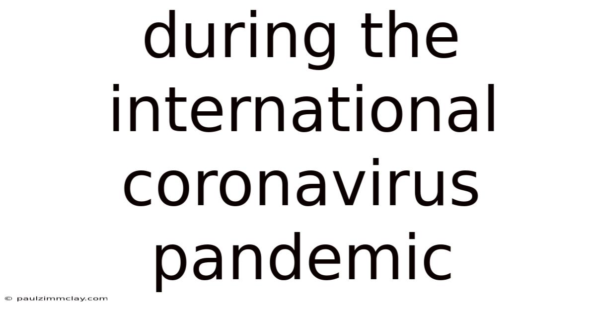 During The International Coronavirus Pandemic