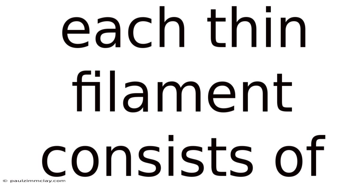 Each Thin Filament Consists Of