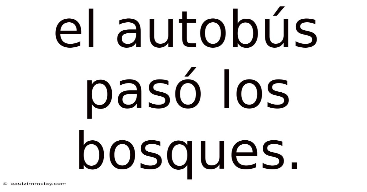 El Autobús Pasó Los Bosques.