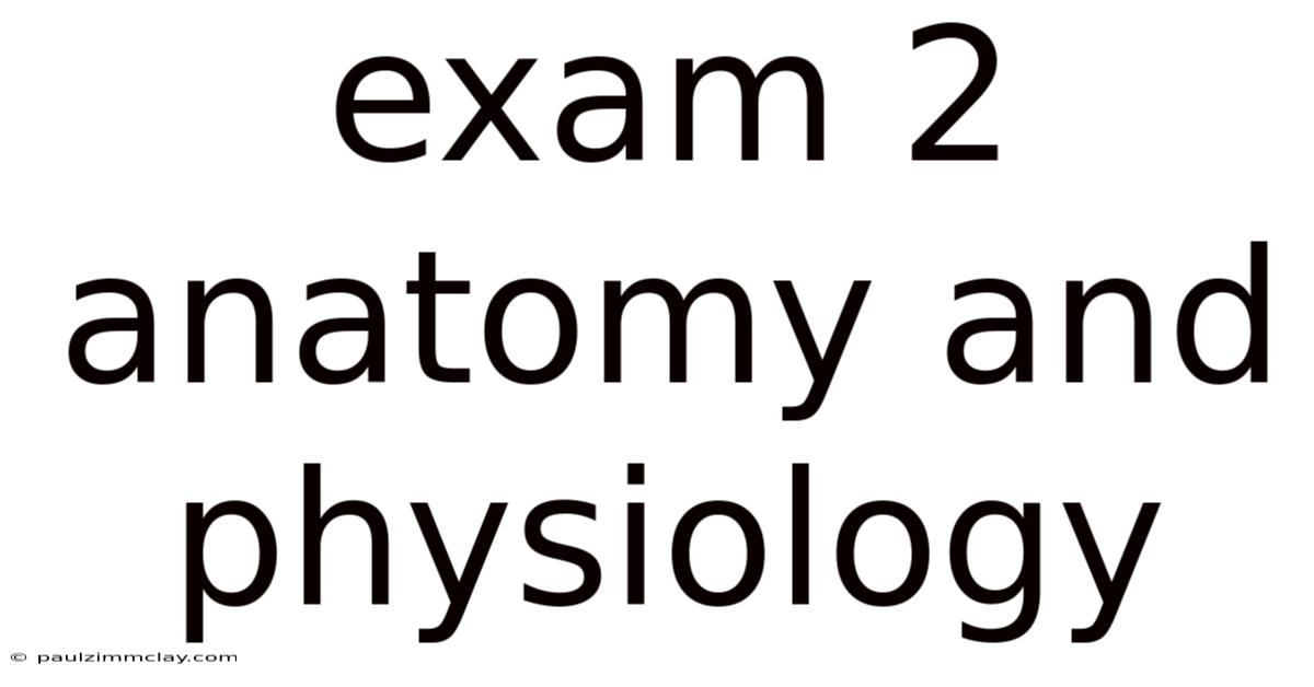 Exam 2 Anatomy And Physiology