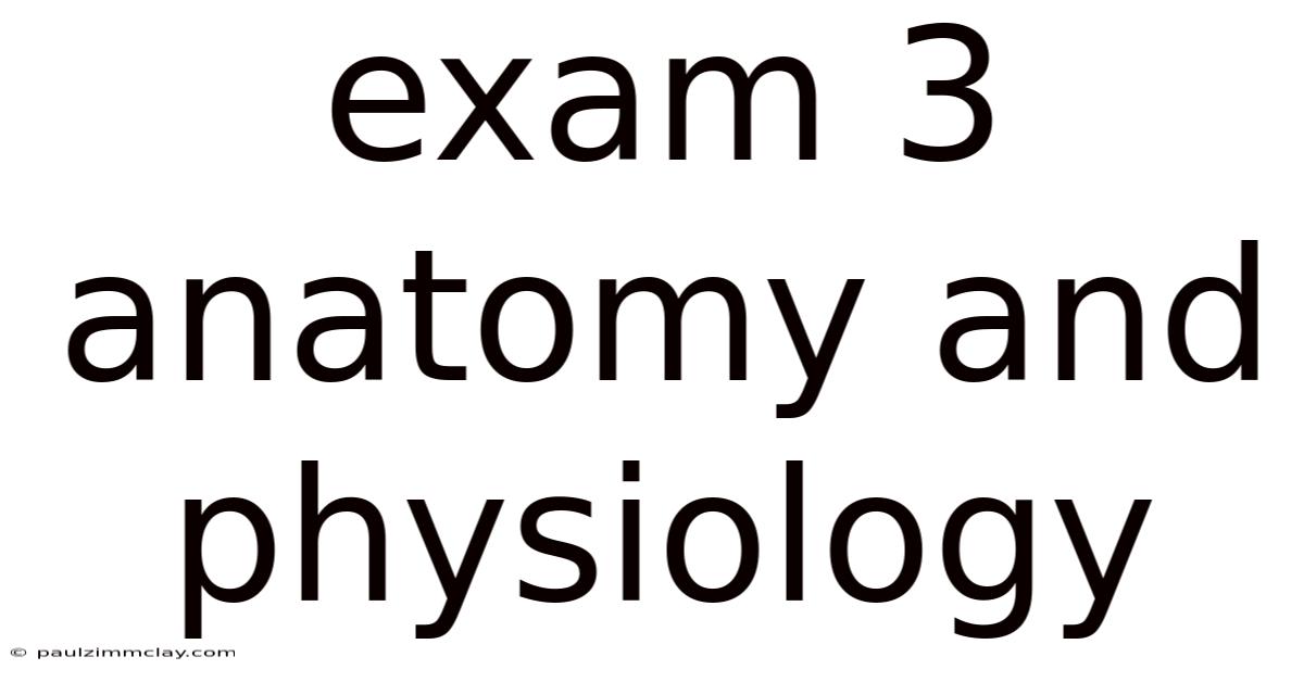 Exam 3 Anatomy And Physiology