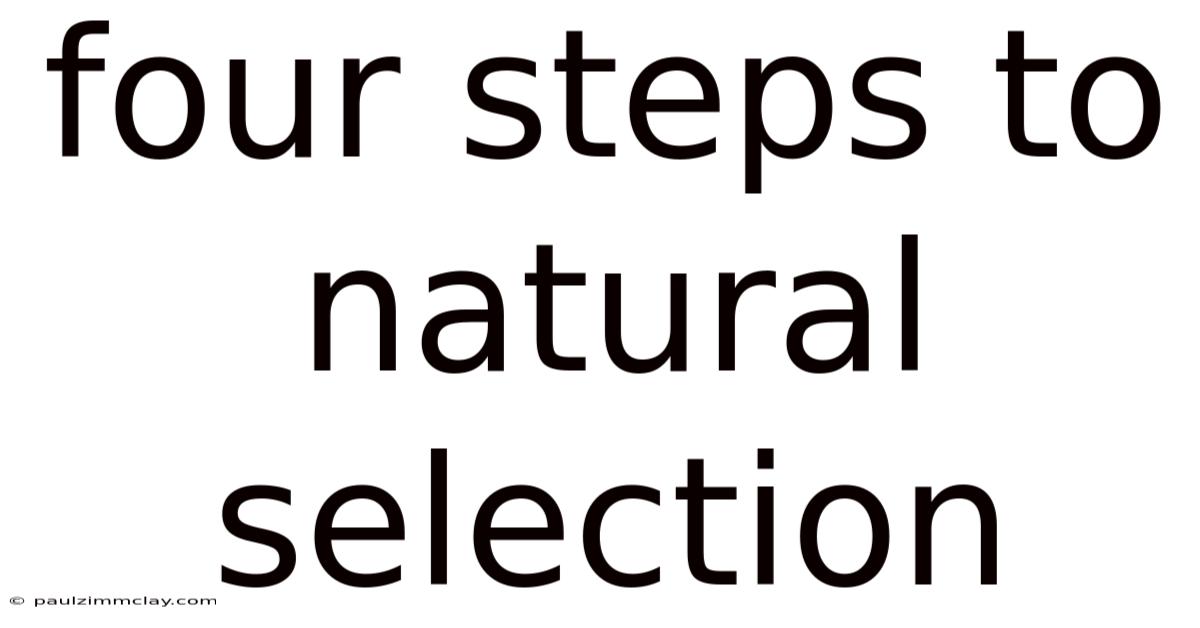 Four Steps To Natural Selection