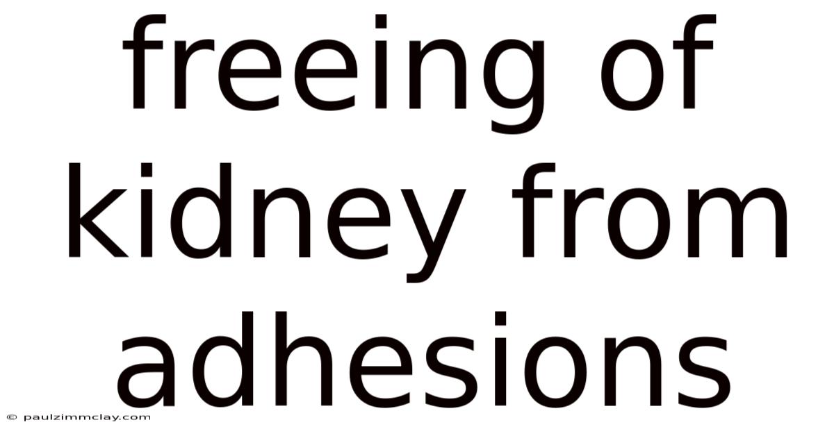 Freeing Of Kidney From Adhesions