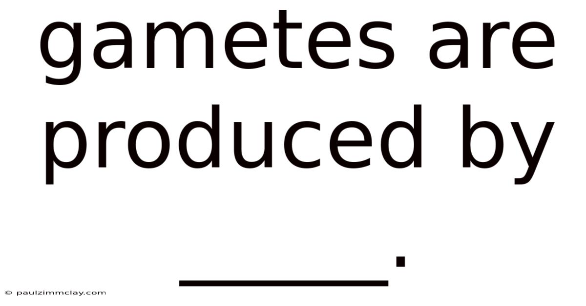 Gametes Are Produced By _____.