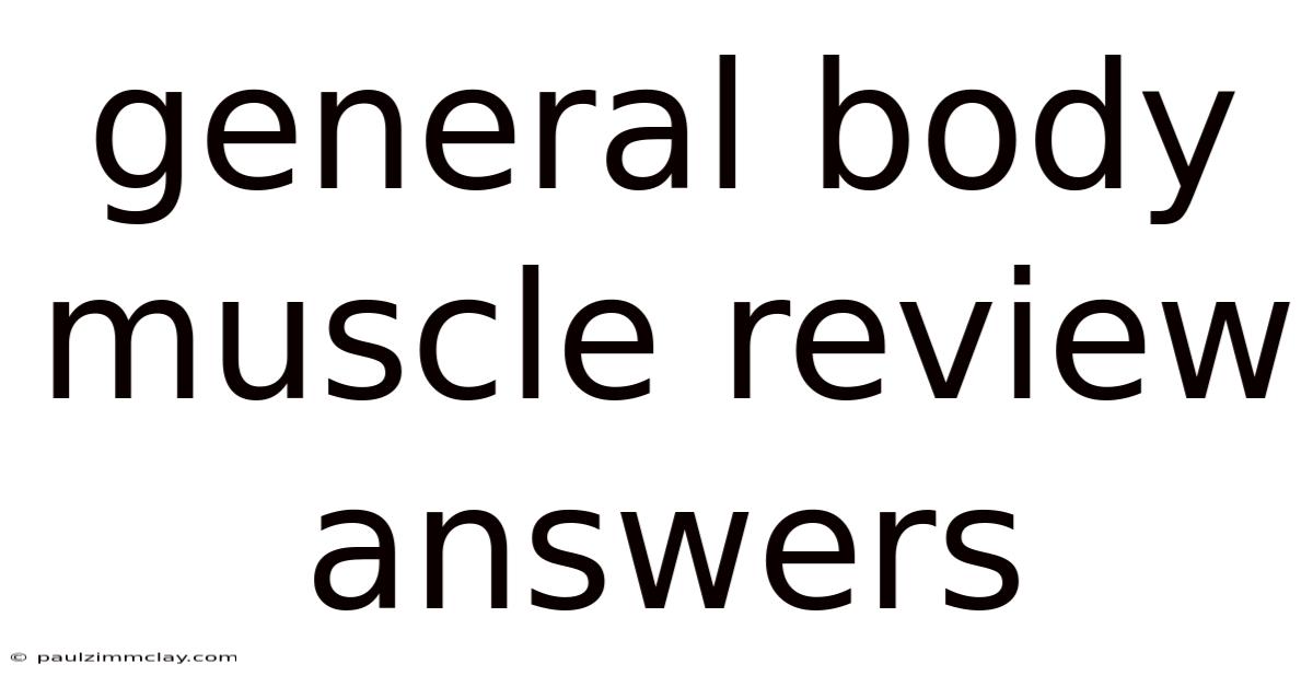 General Body Muscle Review Answers