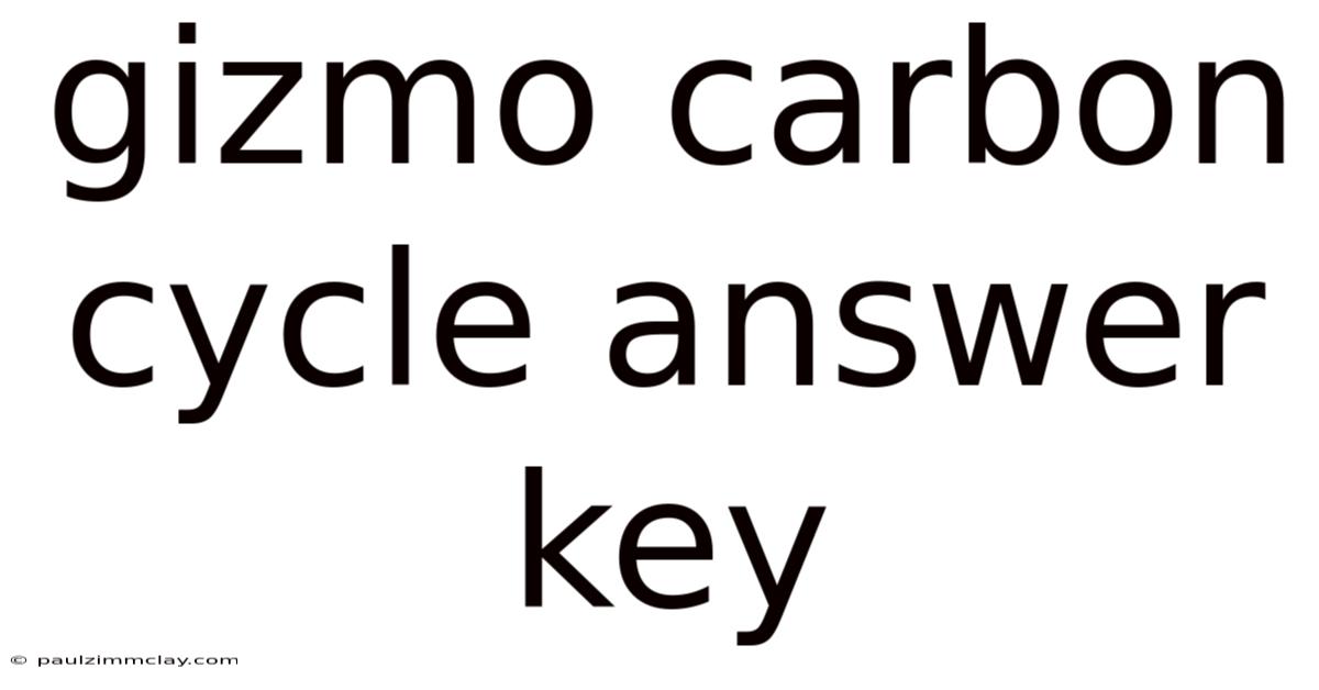 Gizmo Carbon Cycle Answer Key