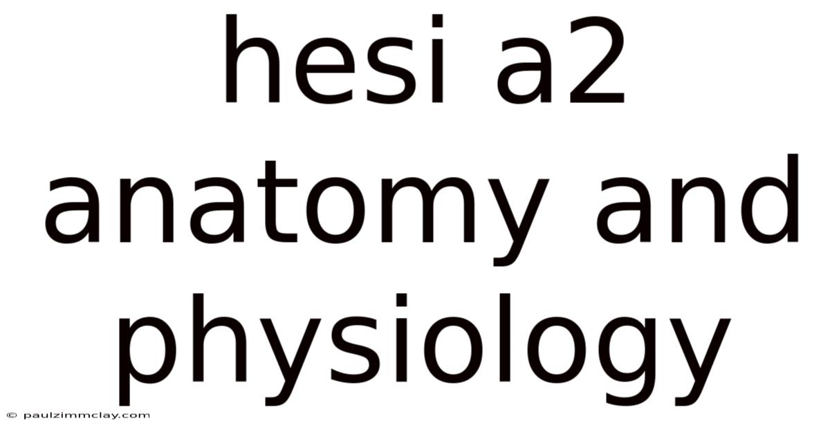 Hesi A2 Anatomy And Physiology