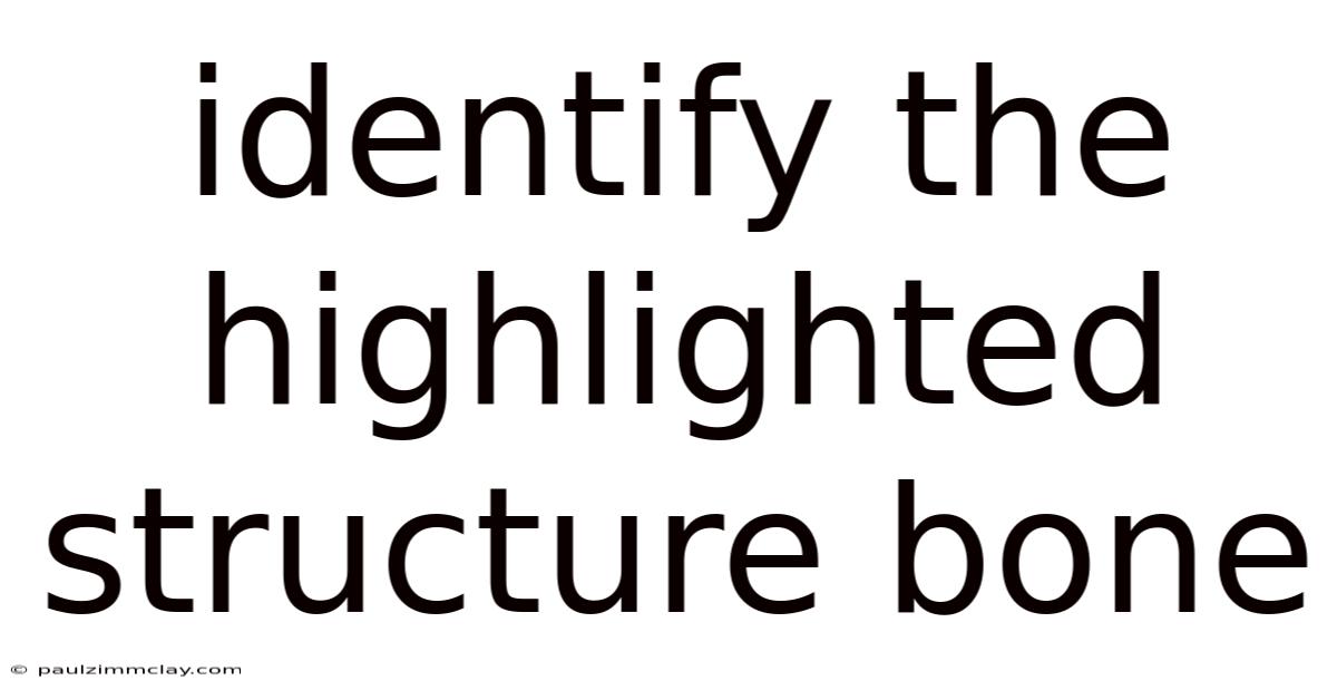Identify The Highlighted Structure Bone