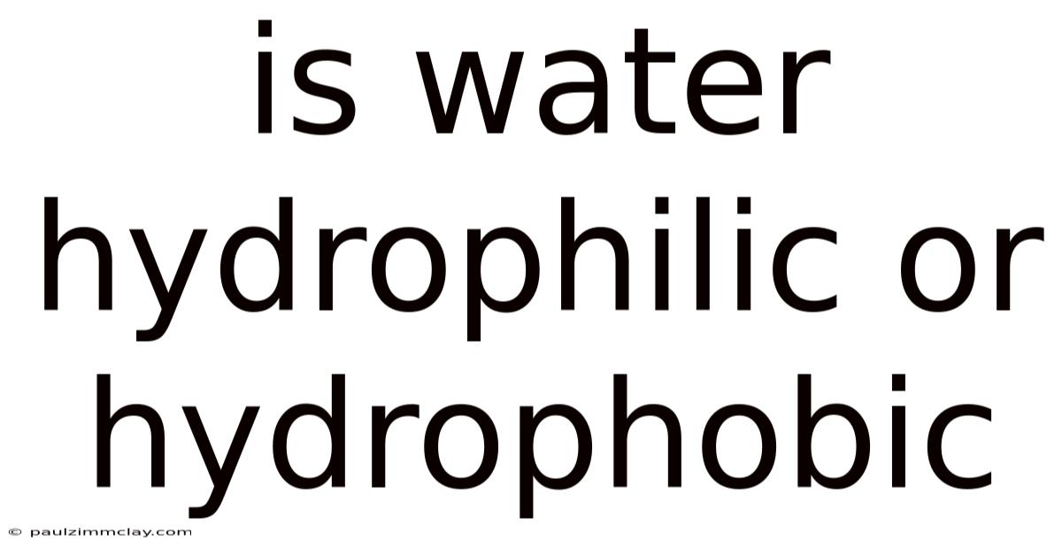 Is Water Hydrophilic Or Hydrophobic
