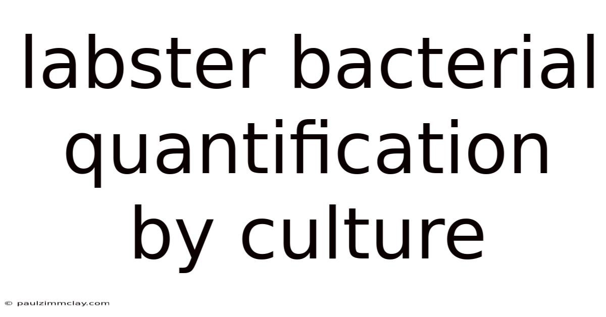 Labster Bacterial Quantification By Culture