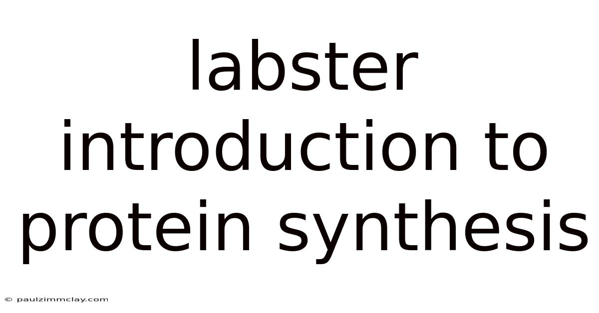 Labster Introduction To Protein Synthesis