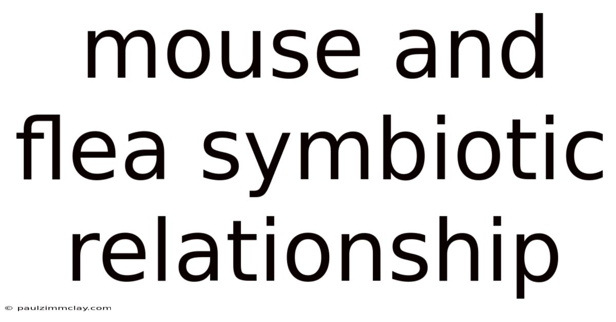 Mouse And Flea Symbiotic Relationship