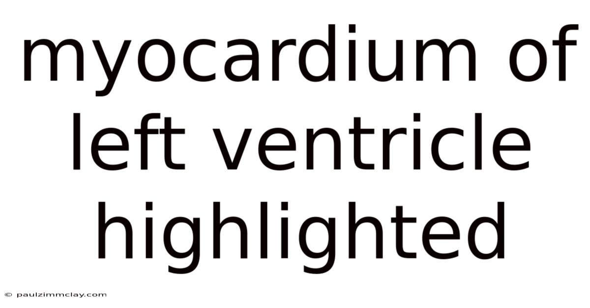 Myocardium Of Left Ventricle Highlighted