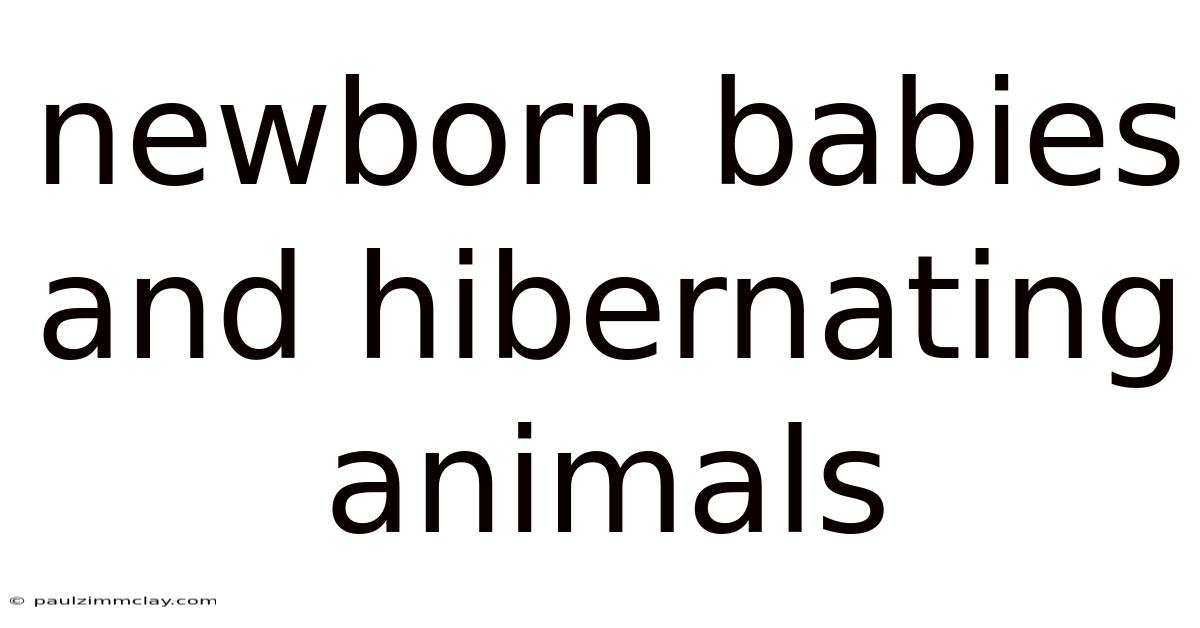 Newborn Babies And Hibernating Animals