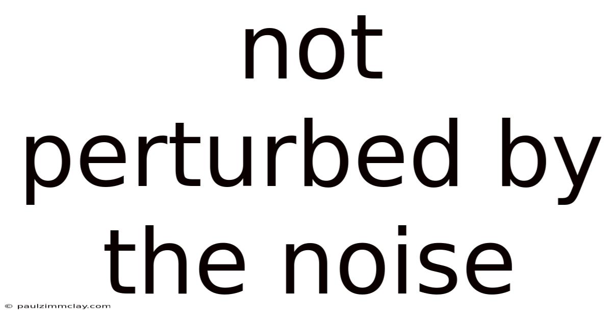 Not Perturbed By The Noise